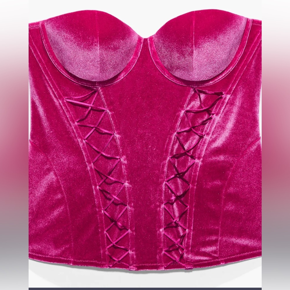 NWT “Velvet Vixen” corset and panty 2X